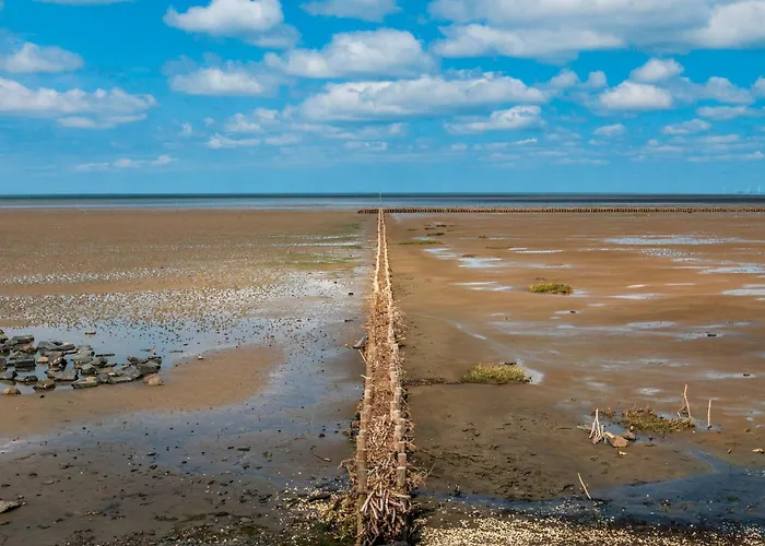 Deichkoje 4 アパート